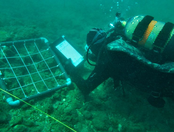 LifeWatch Alborán