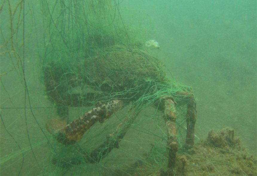 LifeWatch Alborán